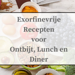 Exorfinevrije Recepten voor Ontbijt, Lunch en Diner